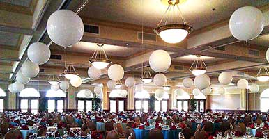 30 inch pearl colored balloons suspended from a venue ceiling