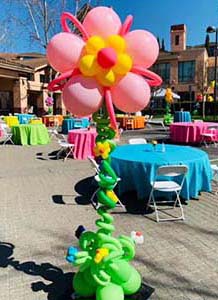 Eight foot tall multi-colored latex Balloon Blossoms celebrating the reopening of a Senior Center.
