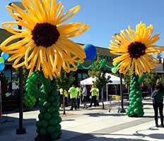 Twelve foot tall balloon sculpture sunflowers for a supermarket sales event
