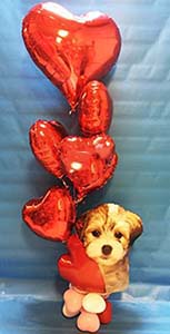 This joyful bouquet consists of a cuddly balloon puppy carrying a bouquet of (6) red mylar hearts.